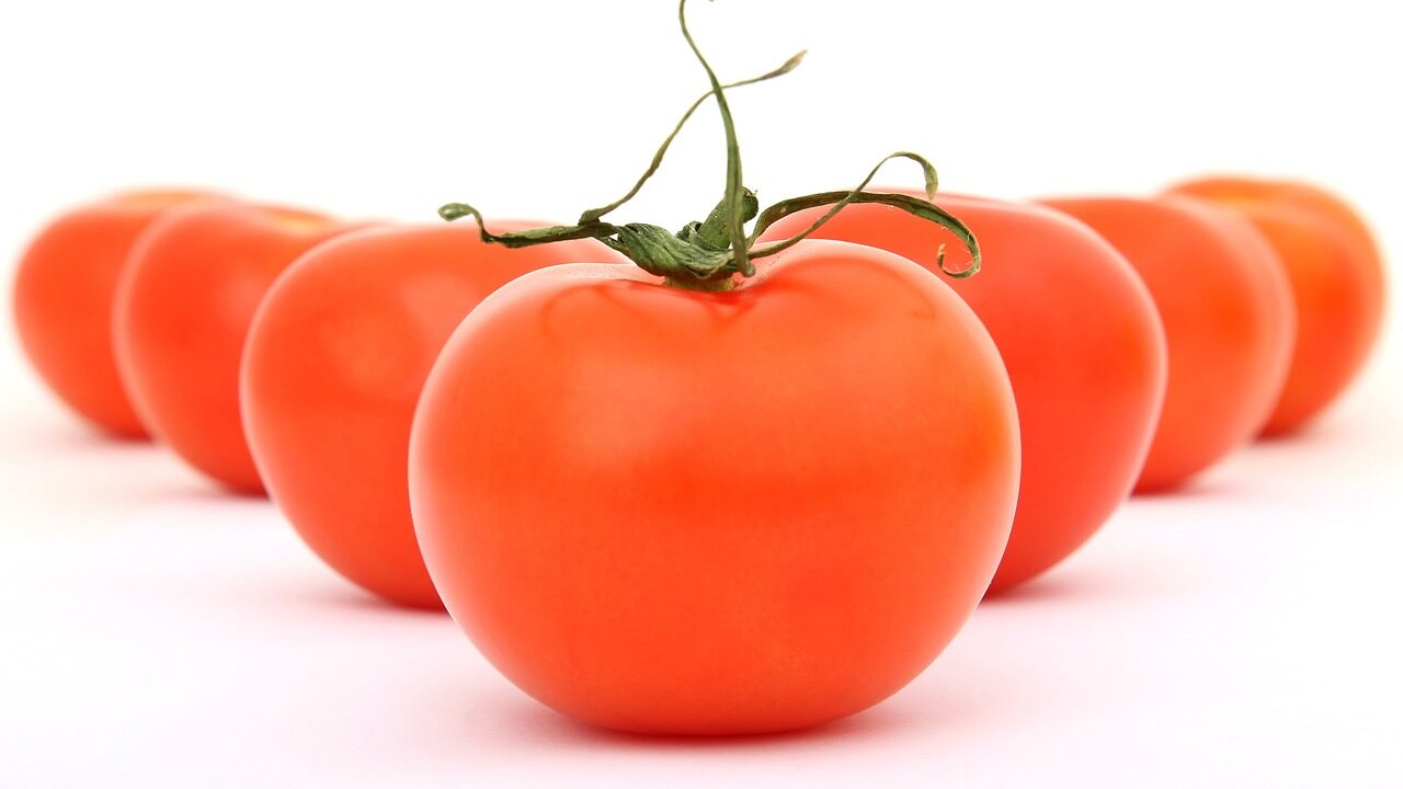 tomato